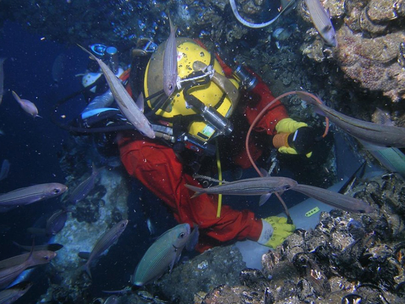 ndt